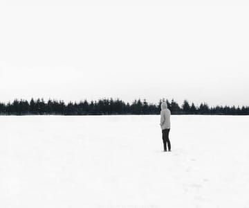 Artwork Title: Searching For Shelter
