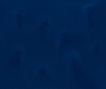 Artwork Title: The Deep Blue's Scream
