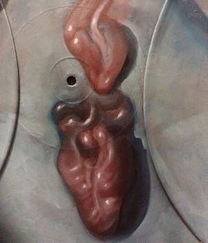 Artwork Title: Tongue And Heart On Vinyl