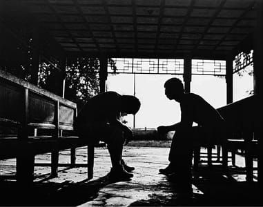 Artwork Title: 密友系列