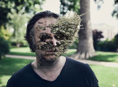 Artwork Title: Treebeard #2
