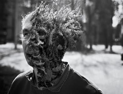 Artwork Title: Treebeard #1