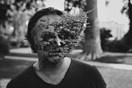 Artwork Title: Treebeard #2 (Black & White)