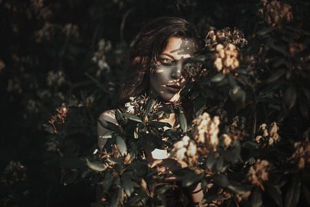 Artwork Title: Untitled