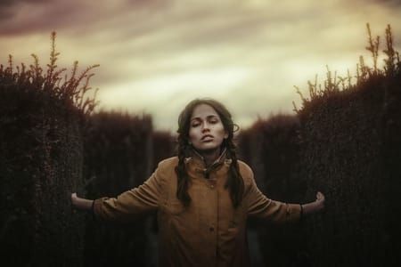 Artwork Title: Untitled