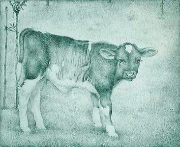 Artwork Title: Calf (Kalfje)