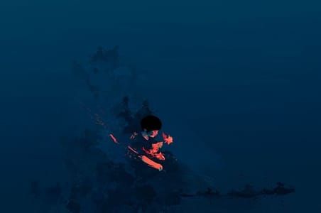Artwork Title: Y Al Final Solo Hay Peces Que Brillan En La Oscuridad