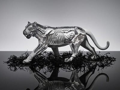 Artwork Title: Tiger