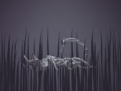 Artwork Title: Scorpion