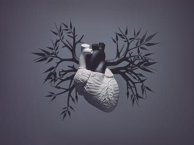 Artwork Title: Heart