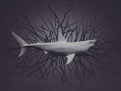 Artwork Title: Shark II