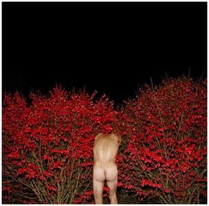 Artwork Title: Untitled