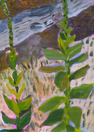Artwork Title: Wild Plants