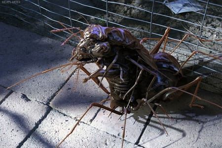 Artwork Title: Big Bug