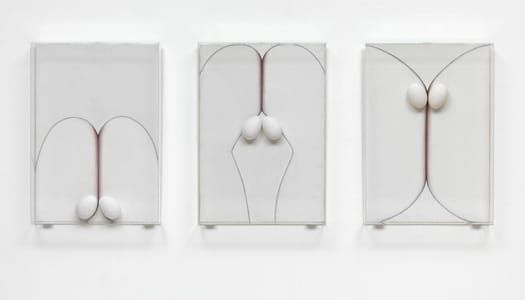 Artwork Title: Exhibitionism