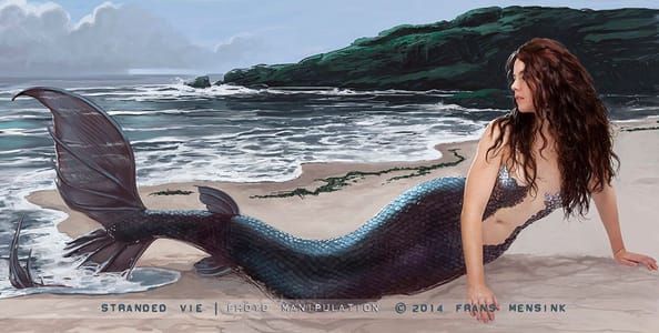 Artwork Title: Stranded Vie