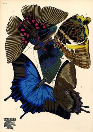 Artwork Title: Untitled