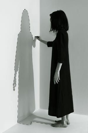 Artwork Title: Misconstrued