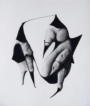 Artwork Title: Dilution Of The Structure For Potential Engenderment