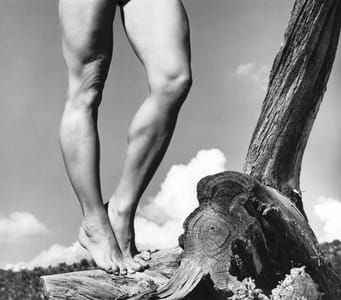 Artwork Title: Karen's Legs