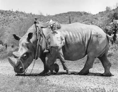 Artwork Title: Me and Old Drifter – Best Cutting Rhino on the Rockin’ A.D. Ranch