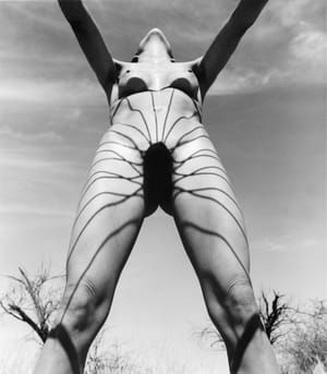 Artwork Title: Spider Woman Sun Worshipping
