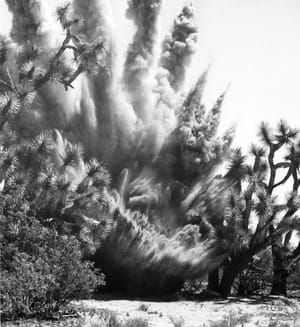 Artwork Title: Explosion #11