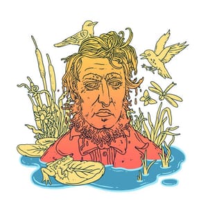 Artwork Title: Pond Scum