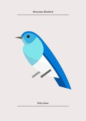 Artwork Title: Mountain Bluebird