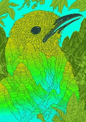 Artwork Title: Grey-Winged Cotinga
