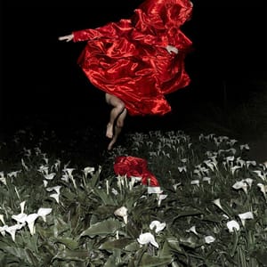 Artwork Title: Untitled
