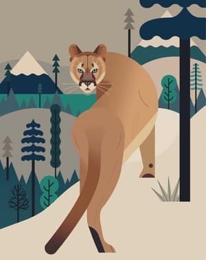 Artwork Title: Puma
