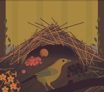 Artwork Title: Curiositree: Vogelkop Bowerbird