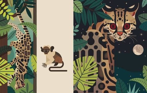 Artwork Title: Margay
