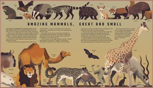 Artwork Title: Curiositree: Amazing Mammals, Great and Small
