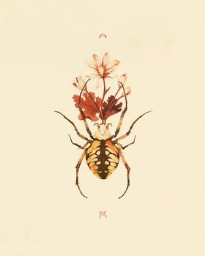Artwork Title: Bloodroot