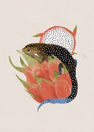 Artwork Title: Dragonfruit