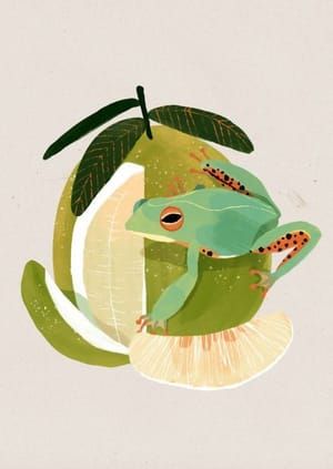 Artwork Title: Pomelo