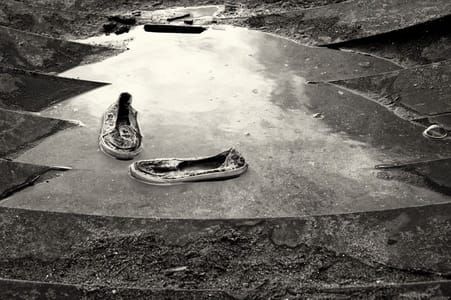 Artwork Title: Floaters