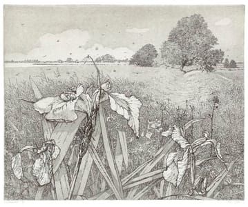 Artwork Title: Zomer in Sandebuur (Summer in Sandebuur)