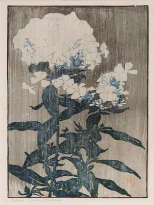 Artwork Title: Phlox