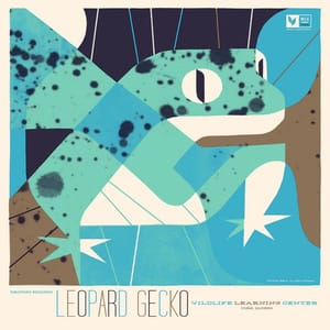 Artwork Title: Leopard Gecko