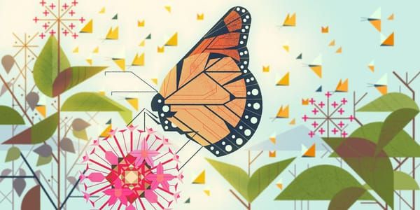Artwork Title: Butterflies