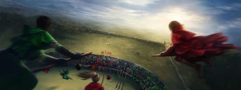 Artwork Title: Gryffindor vs. Slytherin