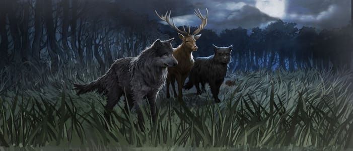 Artwork Title: Marauders Transformed