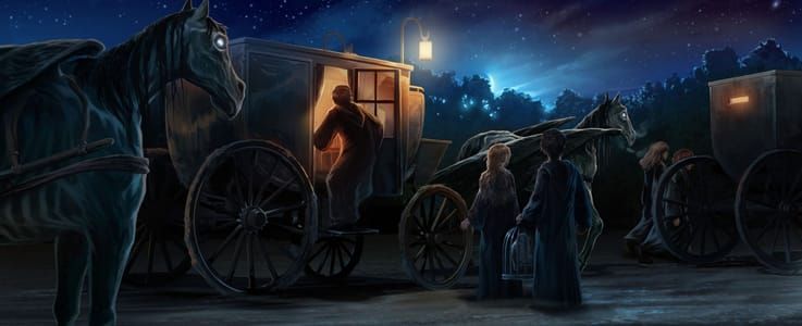 Artwork Title: Harry Sees the Thestrals for the First Time