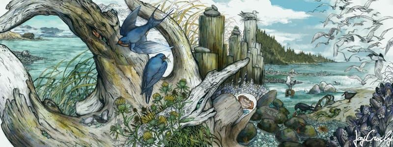 Artwork Title: Cascadia: Life in the Upper Left: Coastal