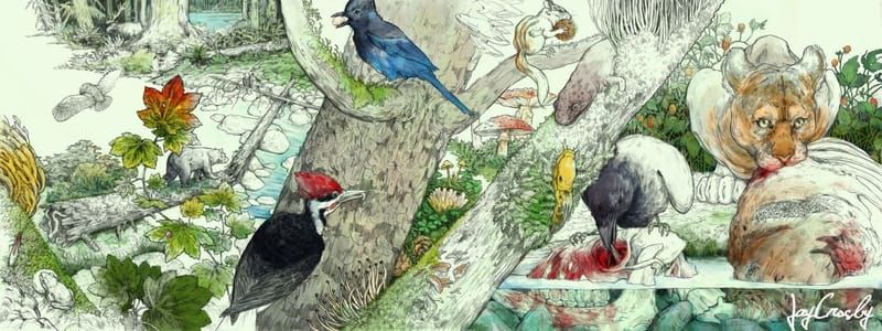 Artwork Title: Cascadia: Life in the Upper Left: Temperate Rainforest