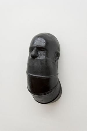 Artwork Title: Agrippa, Is That You?