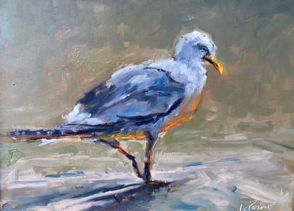 Artwork Title: Gull Study II